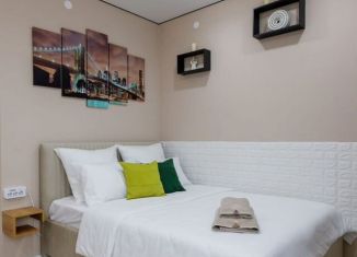 Квартира в аренду студия, 24.7 м2, поселок городского типа Стройкерамика, улица Николая Симонова, 19