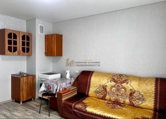 Аренда однокомнатной квартиры, 26 м2, село Нагаево, Новоуфимская улица, 17