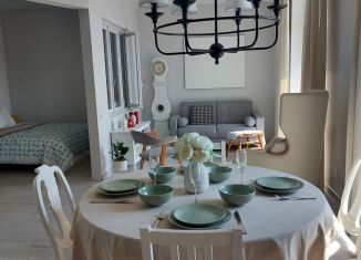 Однокомнатная квартира в аренду, 500 м2, Санкт-Петербург, Новая улица, 51к3