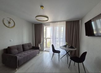 Сдается квартира студия, 30 м2, Тверь, улица С.Я. Лемешева, 6