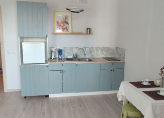 Сдается в аренду квартира студия, 30 м2, Удмуртия, Цветочная улица, 12к1