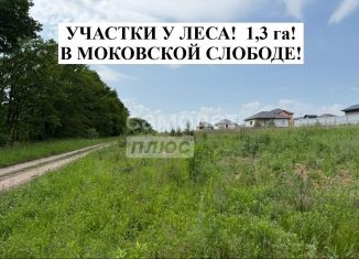 Земельный участок на продажу, 10.5 сот., деревня 1-я Моква, Центральная улица