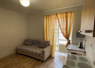 Продажа квартиры студии, 19.3 м2, село Новое Шигалеево, улица Габдуллы Тукая, 10