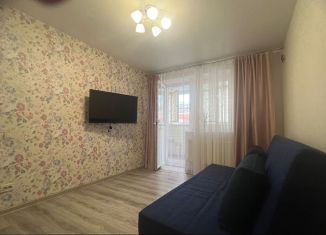 Сдаю в аренду 1-комнатную квартиру, 29 м2, поселок Верхнетемерницкий, улица Венеры, 24к2