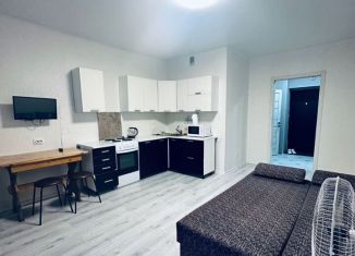 Сдаю квартиру студию, 30 м2, Республика Башкортостан, проспект Дружбы Народов, 57/1