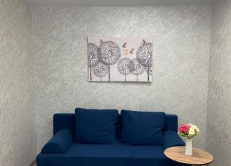 Сдается 1-комнатная квартира, 34 м2, Йошкар-Ола, улица Анциферова, 38, микрорайон Предзаводской