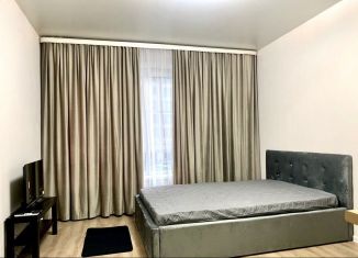 Сдается в аренду квартира студия, 20 м2, Котельники, микрорайон Парковый, 1к2