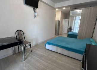 Сдается квартира студия, 35 м2, Сочи, улица Войкова, 34, микрорайон Центральный