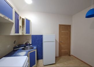 Сдача в аренду 1-комнатной квартиры, 42 м2, Елец, улица Черокманова, 2