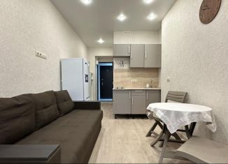 Продается квартира студия, 30.4 м2, Сочи, Амбровая улица, 25