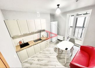 Сдается в аренду 2-ком. квартира, 55 м2, Уфа, улица Энтузиастов, 11