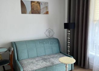 Сдаю в аренду квартиру студию, 25.7 м2, Котельники, Парковая улица, 14