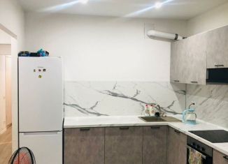 Сдаю в аренду 3-комнатную квартиру, 80 м2, Котельники, микрорайон Парковый, 1к6