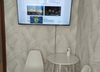 Сдается 1-ком. квартира, 29 м2, Котельники, микрорайон Белая Дача, 21