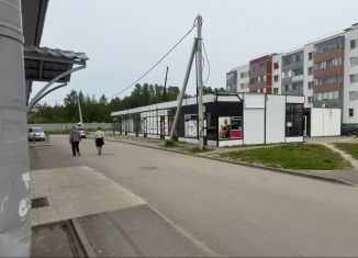 Аренда помещения свободного назначения, 120 м2, Петергоф