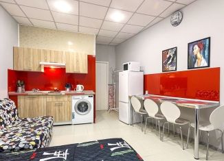 Сдаю в аренду квартиру студию, 30 м2, Санкт-Петербург, 8-я Советская улица, 47