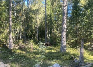 Продажа участка, 10 сот., посёлок при железнодорожной станции Матросово, Тихая улица