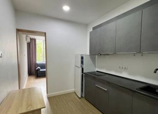 Продается квартира студия, 24 м2, Сочи, улица Лысая Гора, 27/28