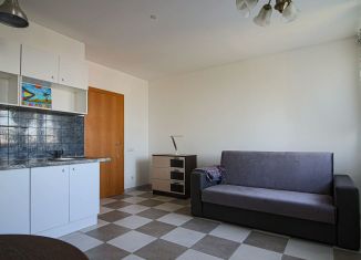 Продажа квартиры студии, 25.2 м2, посёлок Парголово, Толубеевский проезд, 24