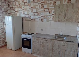 Сдаю в аренду однокомнатную квартиру, 45 м2, Орёл, Артельный переулок, 24