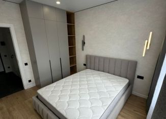 Сдаю в аренду 1-комнатную квартиру, 38 м2, Пенза, улица Измайлова, 38к3