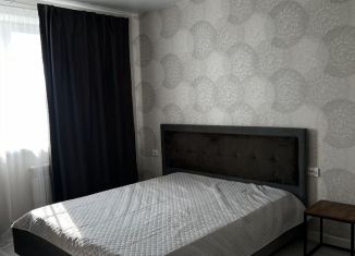 Сдача в аренду двухкомнатной квартиры, 54 м2, село Засечное, Фонтанная улица, 14