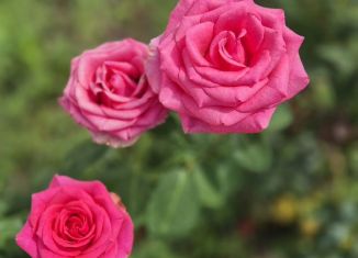 Продается дом, 82.6 м2, посёлок Добрый