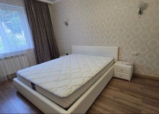 Двухкомнатная квартира на продажу, 59.8 м2, село Раздольное, Тепличная улица, 83