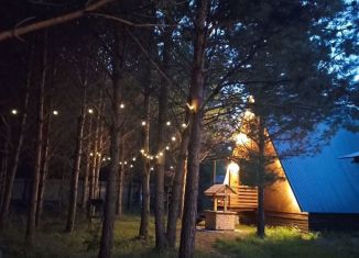 Сдача в аренду дома, 31 м2, деревня Отнурок, Сосновая улица