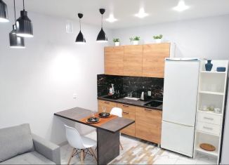 Сдается однокомнатная квартира, 28 м2, Республика Башкортостан, Ярмарочная улица, 15