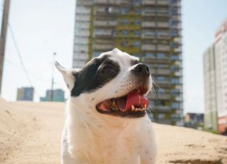 Продам 1-комнатную квартиру, 49 м2, деревня Афонино, Академическая улица, 17