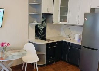 Сдается квартира студия, 25 м2, Уфа, улица Карла Маркса, 25