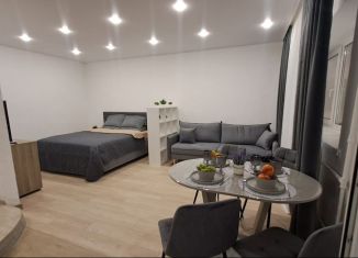 Однокомнатная квартира на продажу, 45 м2, Геленджик, Заставная улица, 7