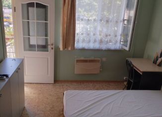 Аренда квартиры студии, 25 м2, село Орёл-Изумруд, Дачная улица, 17/5