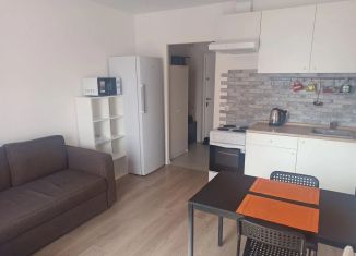 Квартира в аренду студия, 20 м2, Котельники, микрорайон Парковый, 1к1