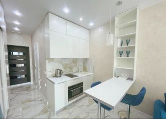 Сдача в аренду квартиры студии, 23 м2, Сочи, Ясногорская улица, 16/8к3, микрорайон Бытха