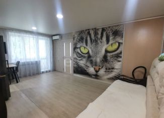 2-комнатная квартира на продажу, 38.3 м2, Приморский край, посёлок Морской, 2