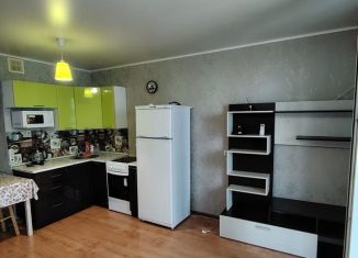 Квартира в аренду студия, 30 м2, Республика Башкортостан, улица Евгения Столярова, 4Б