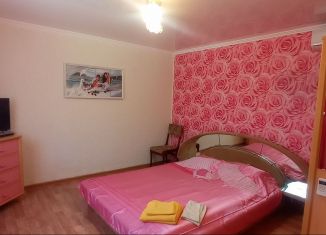 Сдаю в аренду дом, 42 м2, поселок городского типа Заозерное, улица Чкалова, 82