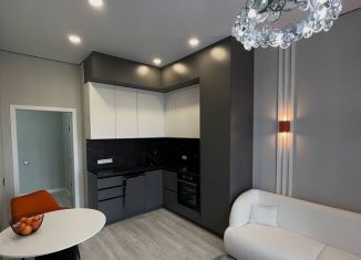 Продается однокомнатная квартира, 45 м2, деревня Кисловка, улица Василия Кандинского, 1