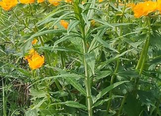 Продажа земельного участка, 10 сот., деревня Раскаты, Успенская улица