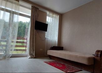 Продам квартиру студию, 20 м2, Крым, улица Винодела Егорова, 115