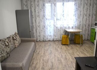 Продаю квартиру студию, 24.1 м2, посёлок Западный, улица Дружбы, 2