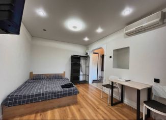 Квартира в аренду студия, 32 м2, Республика Башкортостан, Заводская улица, 2