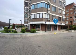 Продается торговая площадь, 109.3 м2, Краснодар, Фестивальный микрорайон, улица Каляева, 263/4