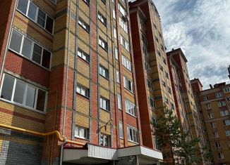 Сдам в аренду однокомнатную квартиру, 42 м2, Йошкар-Ола, улица Эшкинина, 23, микрорайон Центральный