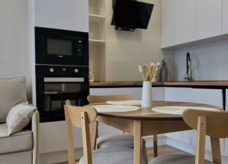 Сдаю в аренду 1-ком. квартиру, 42 м2, Республика Башкортостан, улица Чернышевского, 26