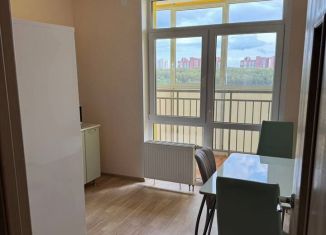 Сдам в аренду однокомнатную квартиру, 37.3 м2, Пермь, бульвар Гагарина, 74В