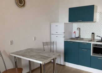 Продаю квартиру студию, 26.3 м2, Мурино, проспект Авиаторов Балтики, 3к1, ЖК Девятый вал