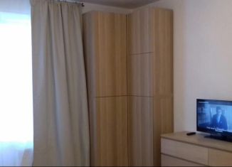 Сдам в аренду квартиру студию, 30 м2, Мурино, Воронцовский бульвар, 12